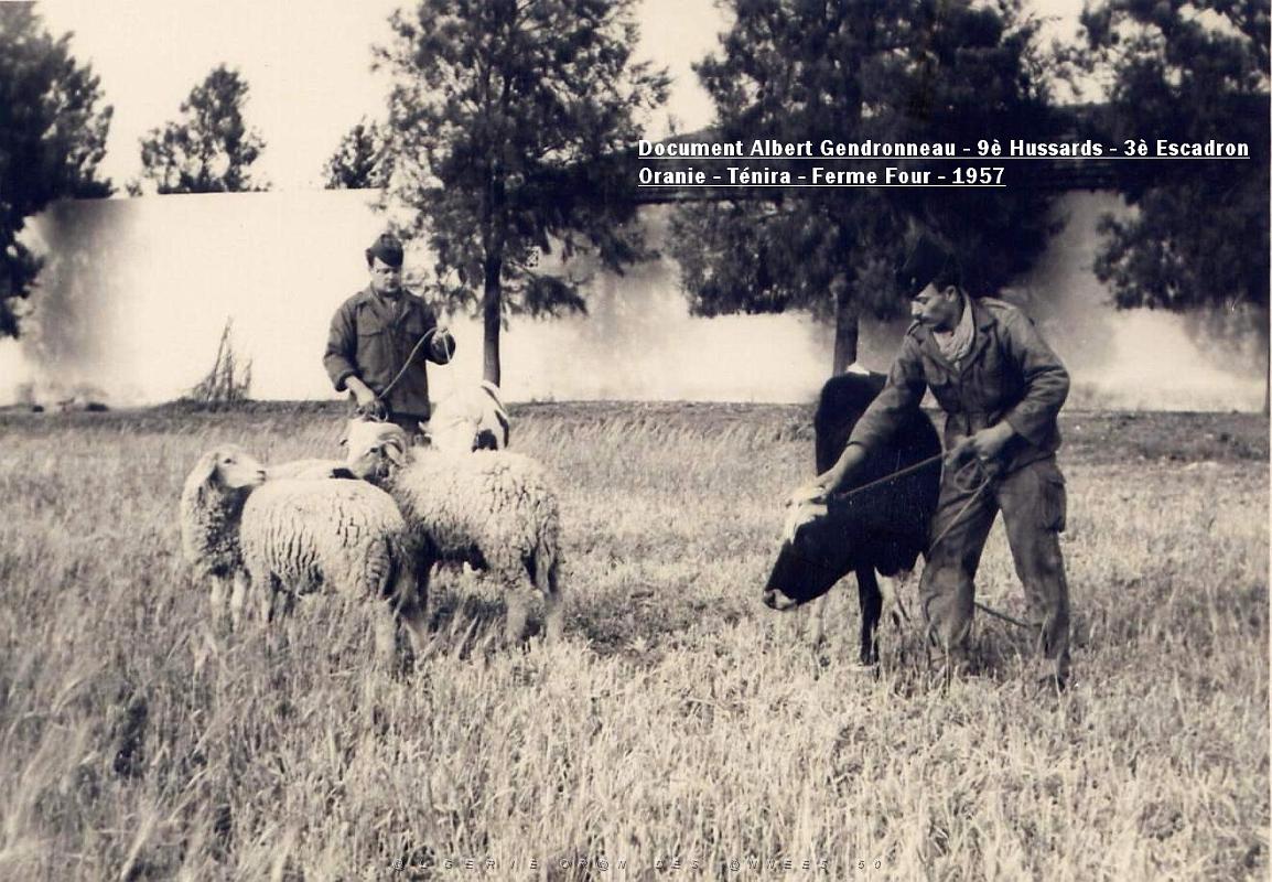 9 EME HUSSARDS DE ALBERT GENDRONNEAU 3 EME ESCADRON 1956 1957 (28).jpg